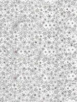 Пленка с/к "HONGDA" арт.1029 (голограф. сереб) 0.45х8м