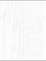 Пленка с/к Делюкс арт.3009-0 (бел. дерево) 0.45х8м