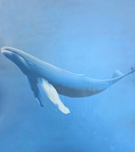 Штора для ванной полиэтиленовая синяя 15, "Релакс", 180*180