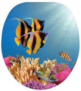 Крышка для унитаза мягкая  фотопринт