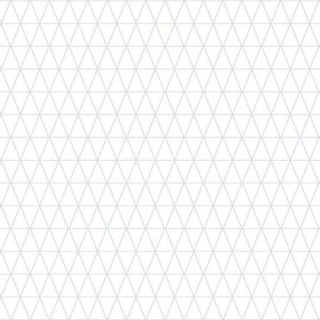 Обои Д695 дуплекс С6-06 0,5м*10м (упак. 12 рул. Саратов)