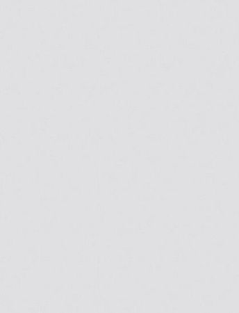 Пленка с/к Делюкс Professional арт.12046570 (белая холодная матовая с текстурой) 0.45х6м