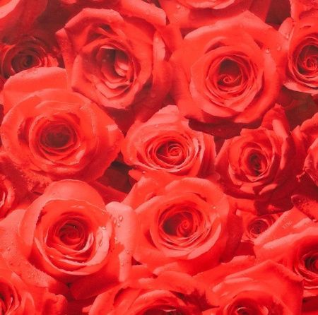 Термоклеенка толщ.0,7мм 4205 80см*20м