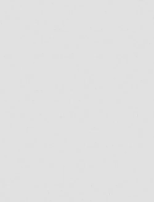 Пленка с/к Делюкс Professional арт.12046570 (белая холодная матовая с текстурой) 0.45х6м
