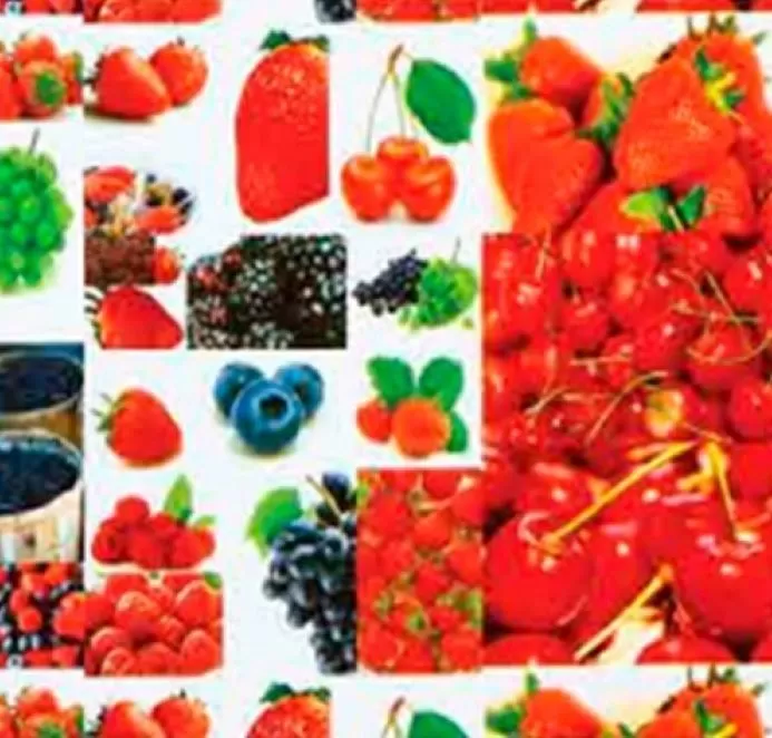 Клеенка на тк.основе ПВХ "Флер" 058 (1.40х20м)