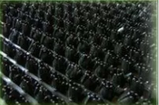 Напольная дорожка "Травка" 139 черный шир.0,9x15м